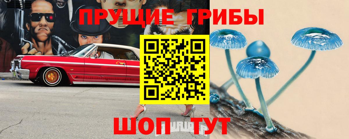 Новороссийск  Галлюциногенные грибы GOLDEN TEACHER  Псилоцибиновые грибы GOLDEN TEACHER  Вход с VPN 